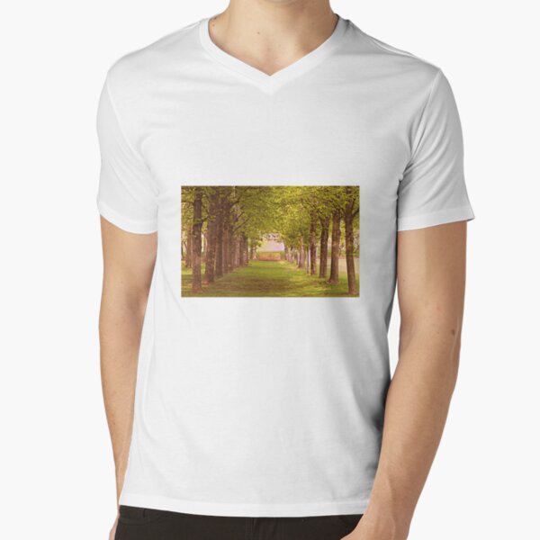Empty Bench V-Neck T-Shirt