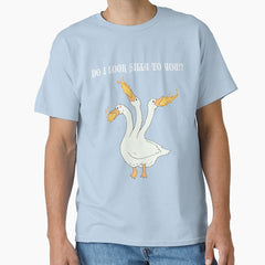 Do I Look Silly To You Classic T Shirt