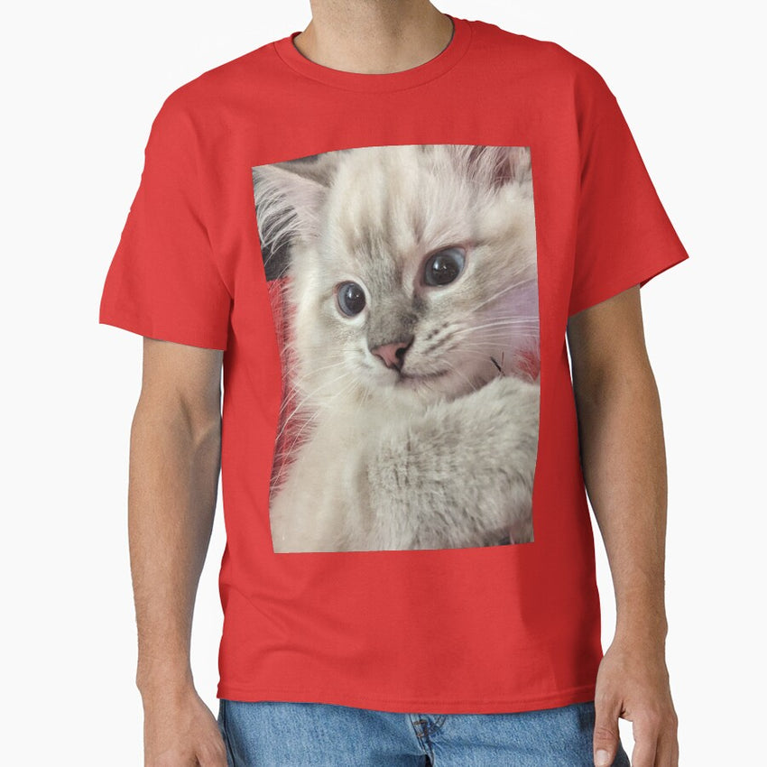 Lynx ragdoll kitten looking cheeky Classic T-Shirt