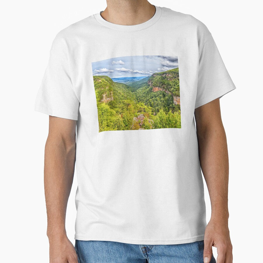 Cloudland Canyon Georgia State Park Classic T-Shirt