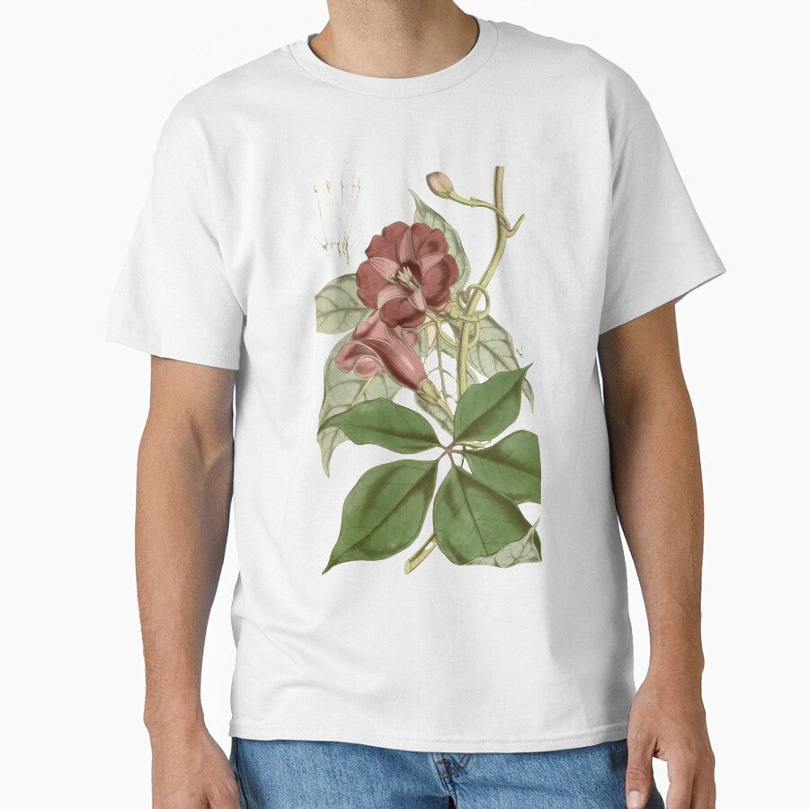 IPOMIA PULCHELLA from Curtiss botanical magazine 1847 Classic T-Shirt