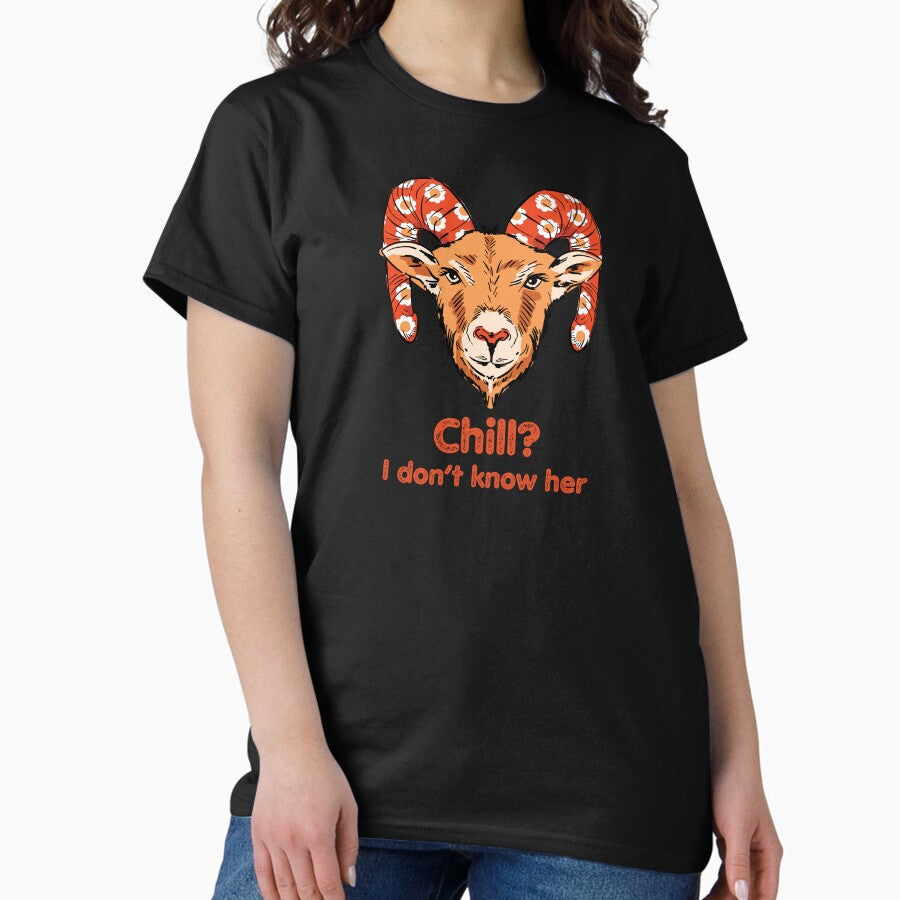 Aries Zodiac Chill I Dont Know Her Classic T Shirt
