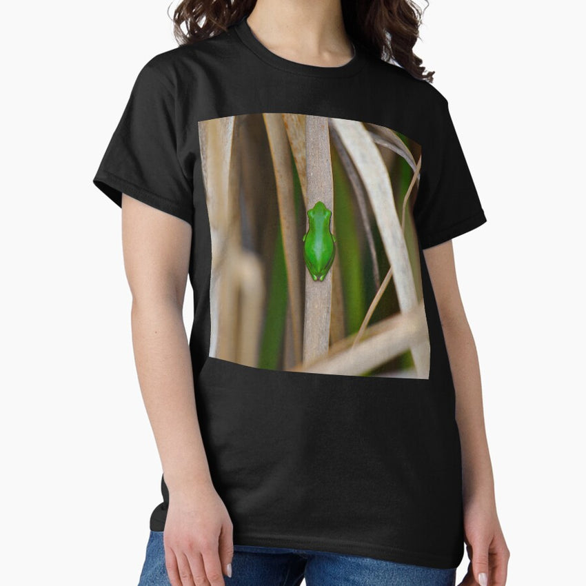 A Green Slender Tree Frog Frog Frogs Square Classic T Shirt