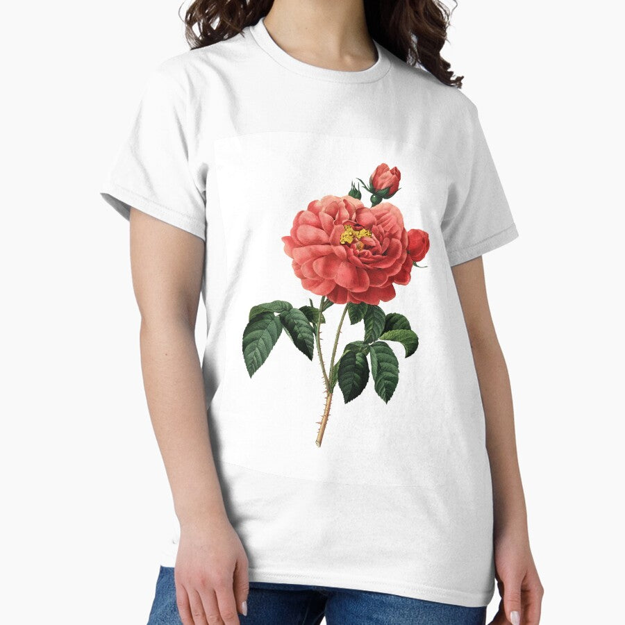 Duchess of Orleans French Rose Flower Vintage Retro Art Botanical Illustration Classic T-Shirt