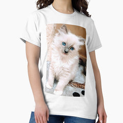 Ragdoll kitten Classic T-Shirt