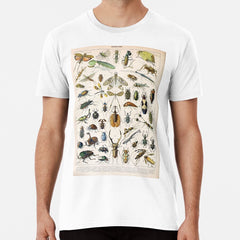Adolphe Millot Illustrations Of Insects Premium T Shirt