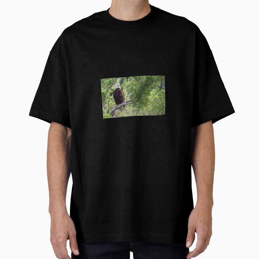Bald Eagle In Pine Tree 2 Oversized T Shirt