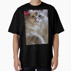 Saoirse the ragdoll cat Oversized T-Shirt