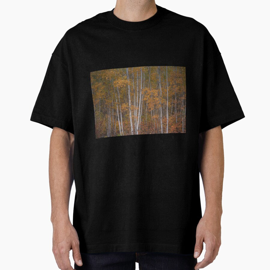 Autumn Wall Oversized T Shirt